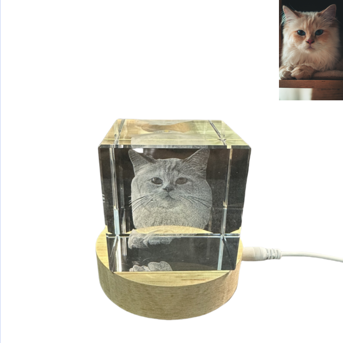 3D Crystal Photo Cube: A Special Memorable Gift for Your Pet cat, dog, bird and other occasions